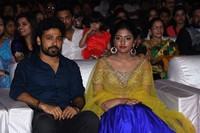 Darshakudu Movie Audio Function